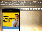 How To Increase Search Engine Rankings (SEO) In A Crowded Market [Episode #25]