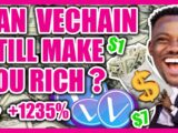 VeChain (VET) WILL Make You Rich In 2021 | (VTHO) Cryptocurrency Altcoin Explained Price Prediction