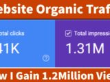 How I Gain 1.2Million Organic Traffic Free Website Traffic How To Get Organic Views For Website/Blog