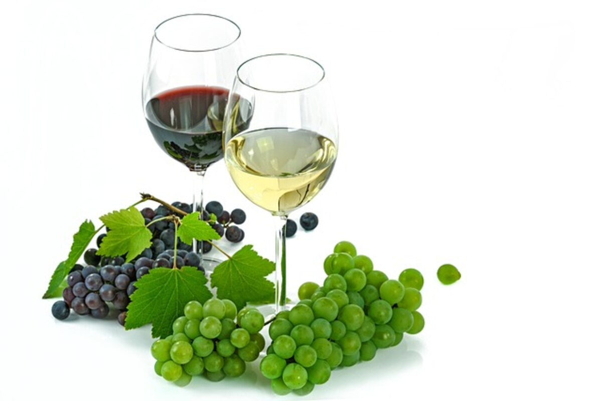 Wine and Health